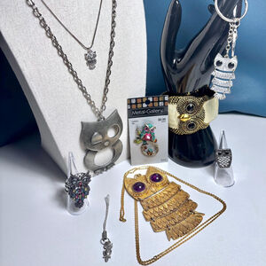 Owl Lover Jewelry and Accessories Bundle – Statement & Vintage Pieces